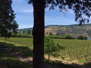 The Garnier Winery in Mosier, OR. What a great place...and we were the only ones there!